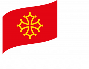 Logo Mairie de Toulouse Gildas Lightpainting